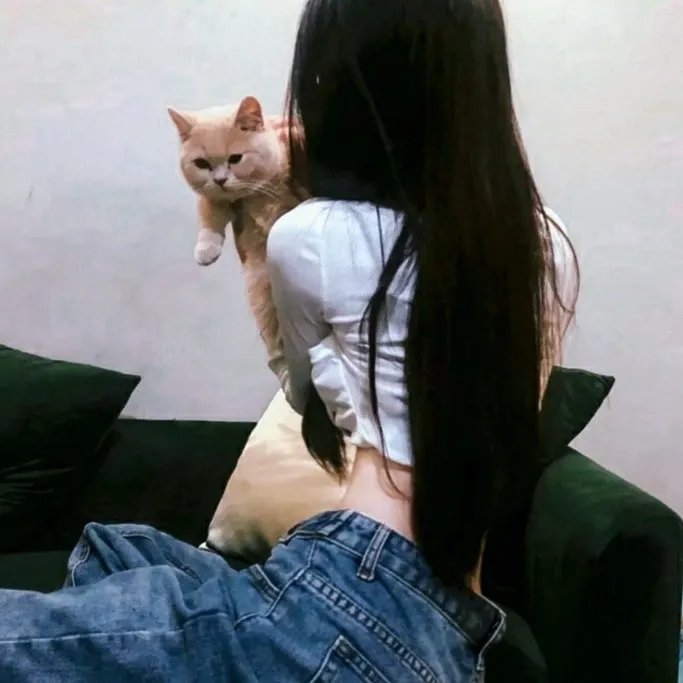 穿书女配恋爱了